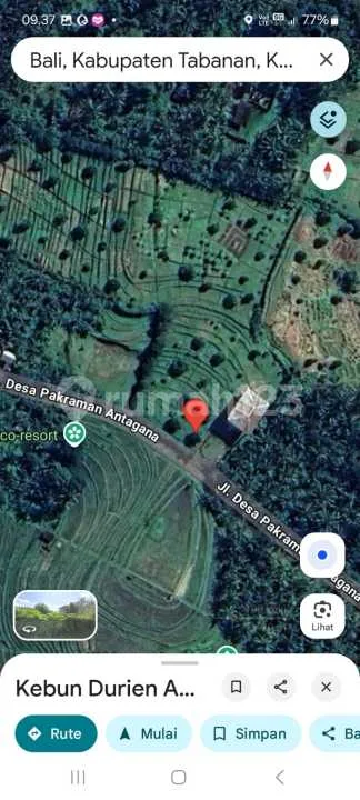 Dijual Tanah Kebun Durian di Tabanan, Bali - Image 3 of 4