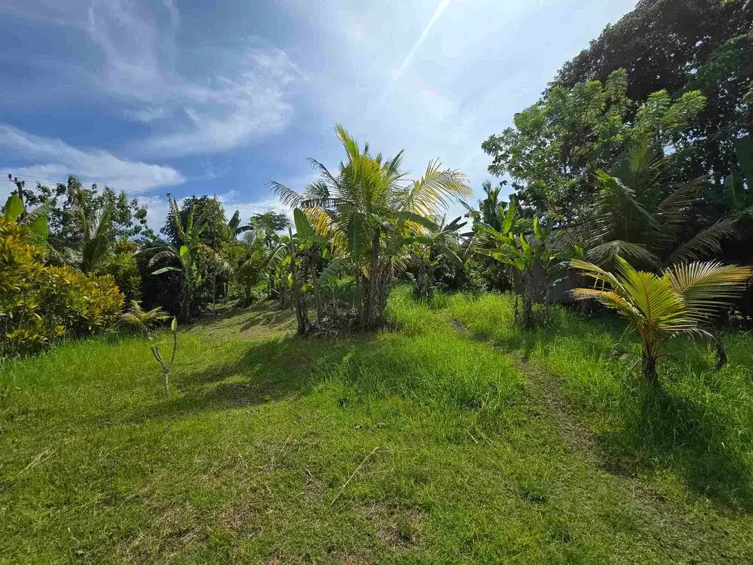 Dijual tanah dekat kota view sawah dan gunung di tabanan bali - Image 4 of 10