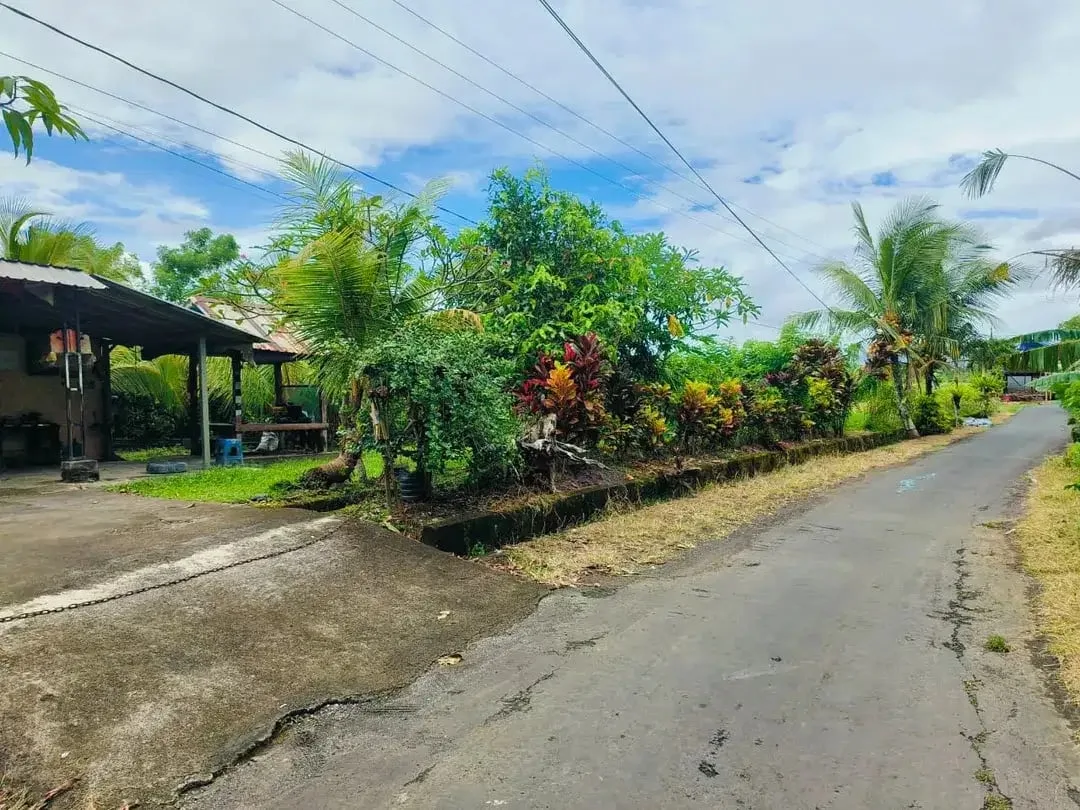 Tanah Murah Di Pinggir Jalan Banjar Sukawati Selemadeg Dekat Megati Raya Denpasar Gilimanuk - Image 6 of 10