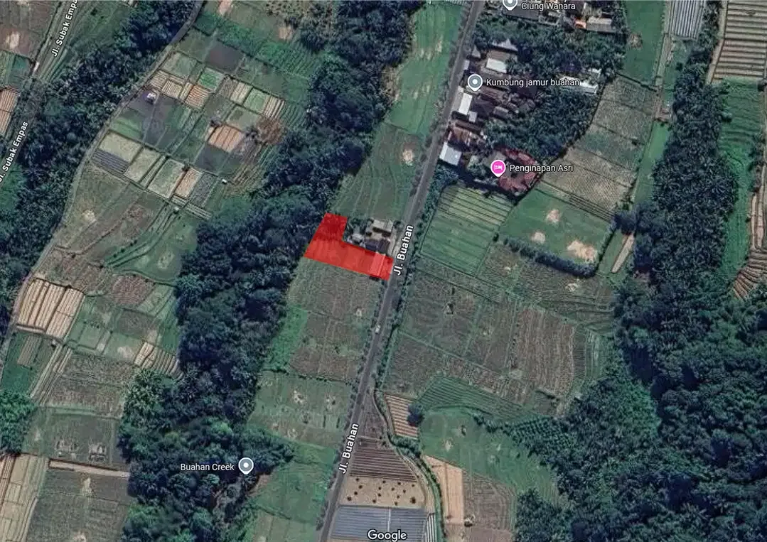 Dijual Tanah View Sawah di Desa Buahan, Tabanan - Image 3 of 3