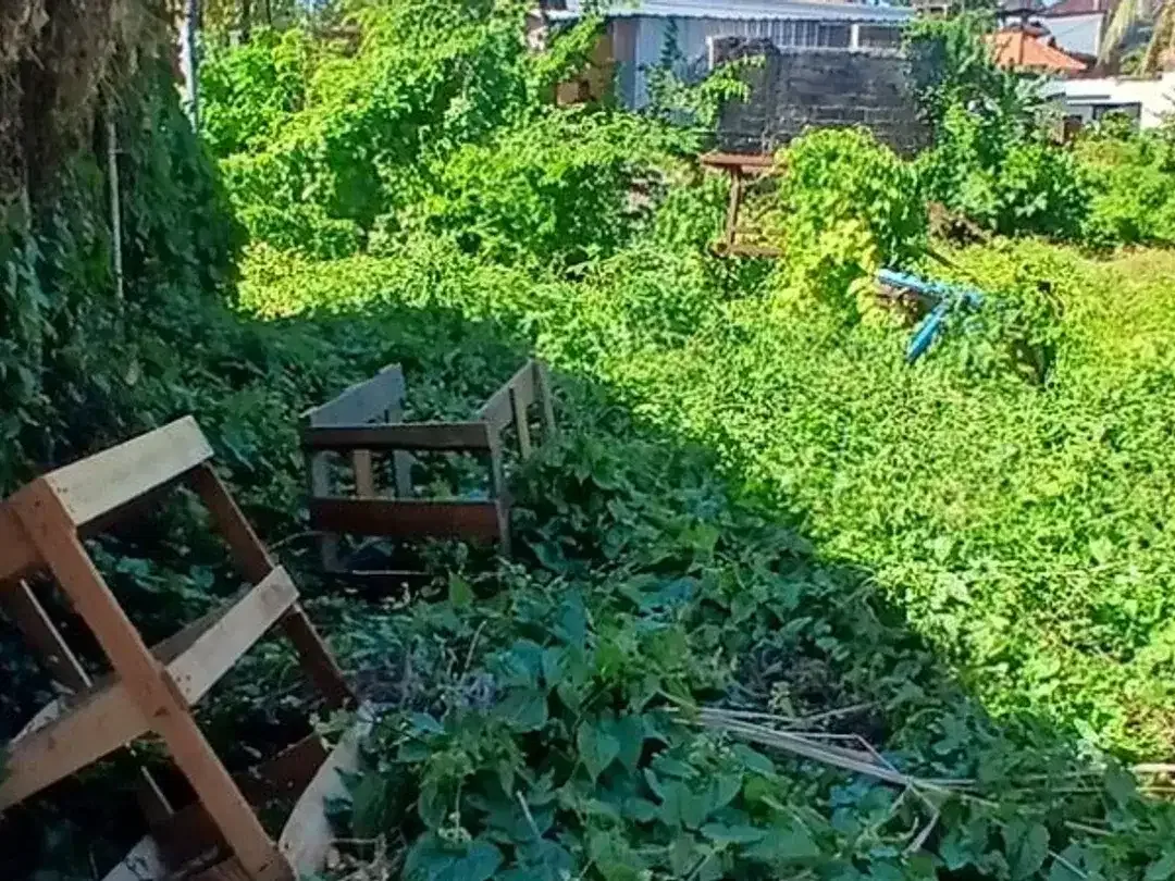 TANAH DI JUAL DI JL RAYA PADONAN CANGGU BADUNG - Image 2 of 8