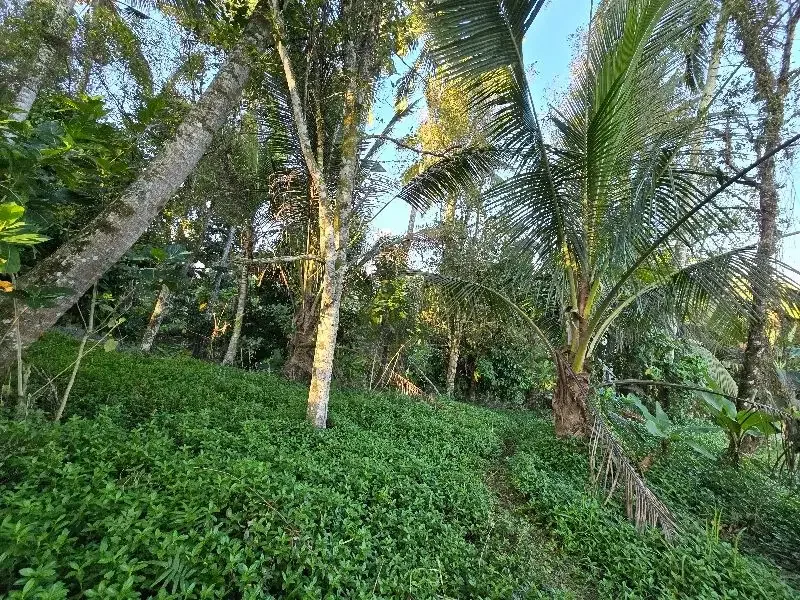 DIJUAL TANAH murah DENGAN VIEW SAWAH cantik dekat villa di bali - Image 10 of 10