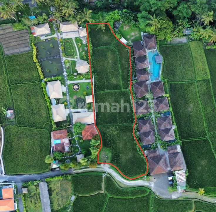 Dijual Tanah Premium Kenderan Ubud Utara View Sawah Lembah Sungai - Image 2 of 4