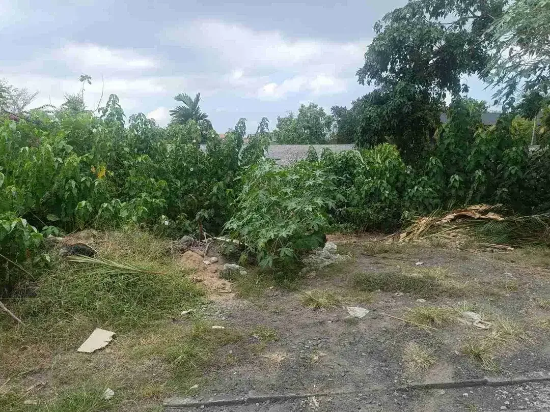 tanah bagus cocok untuk investasi komersil dekat pantai - Image 6 of 7