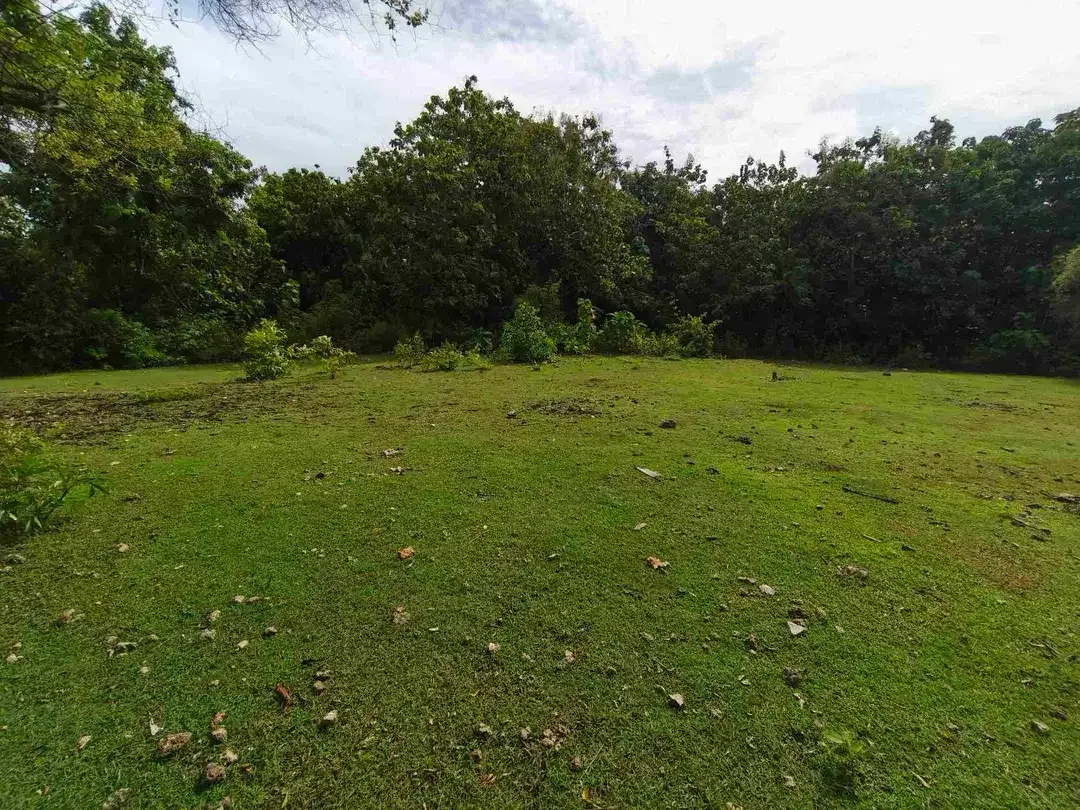dijual tanah 1430m² IDR 750 juta per are kawasan pantai balangan jimbaran - Image 2 of 10