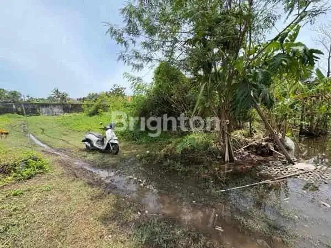 7,15 ARE LEASEHOLD LAND IN SANUR BEACHSIDE WITH PRIVATE ENTRANCE - Image 5 of 6