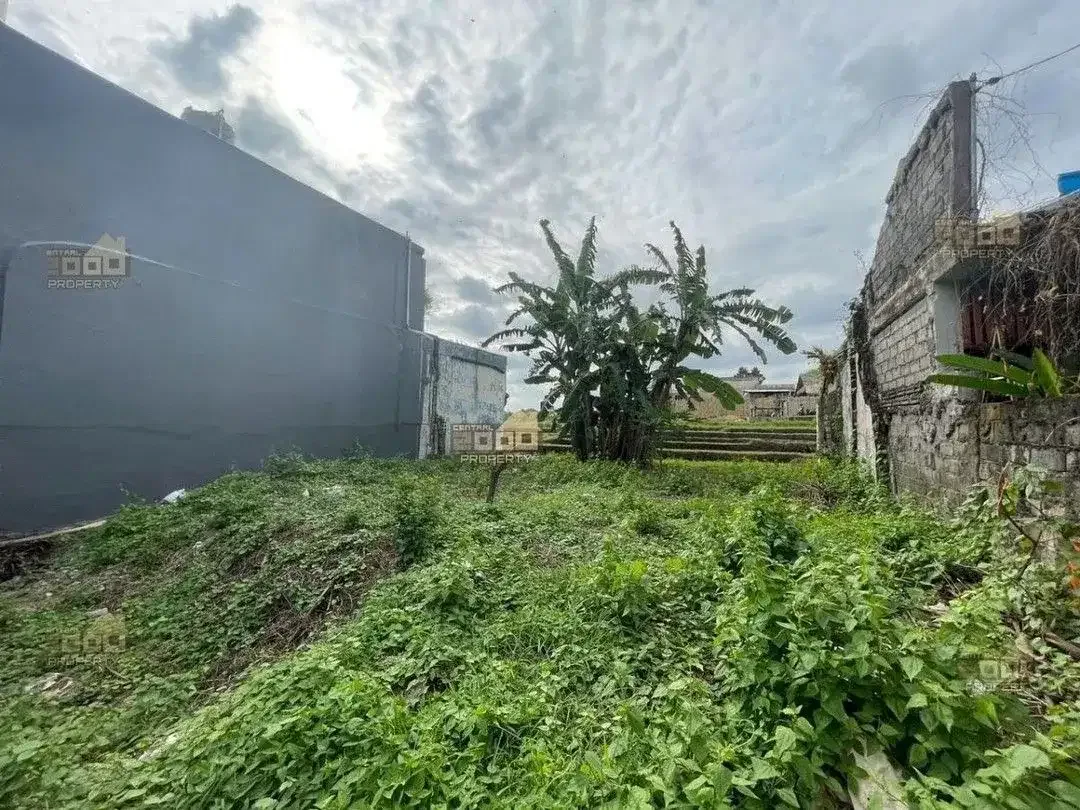 Freehold Land Canggu – Lokasi Strategis & Scenic Ricefield View - Image 4 of 10