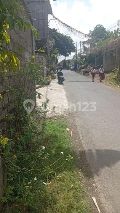 Tanah di Jual di Ubud Lokasi Dalam Komplek Cocok untuk Kokosan Lokasi Tananh Pinggir Jalan - Image 2 of 4