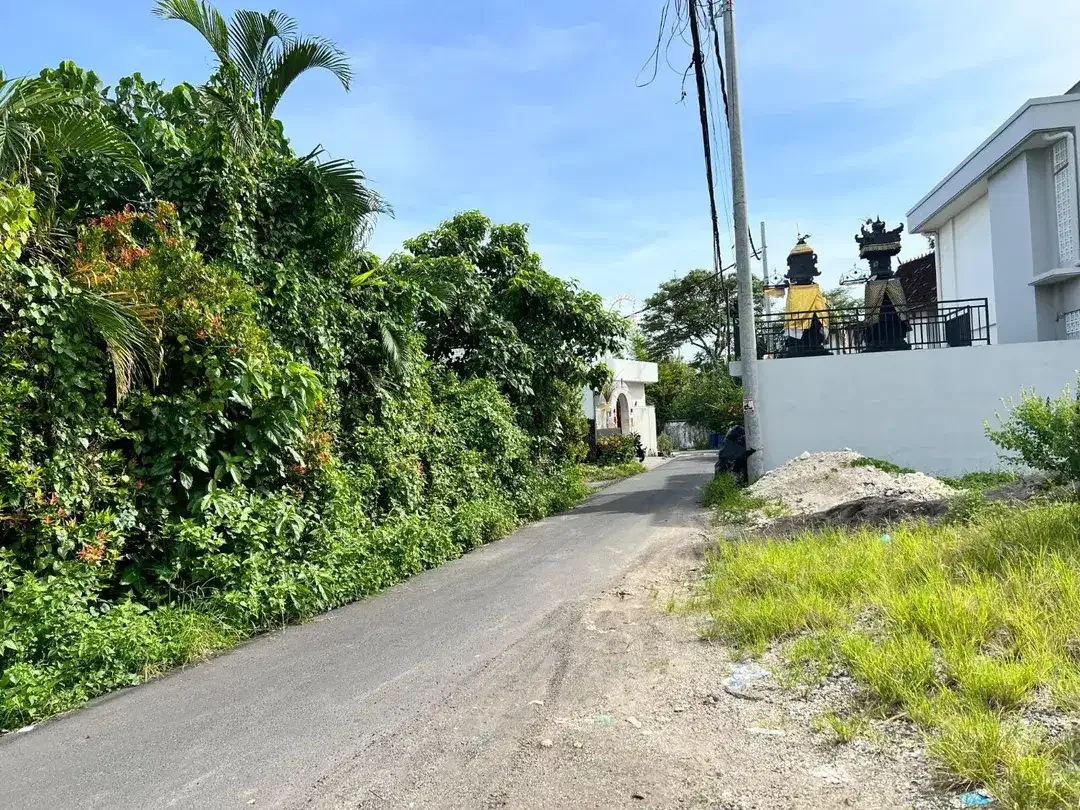 TANAH PREMIUM PERERENAN, CANGGU - Image 4 of 7