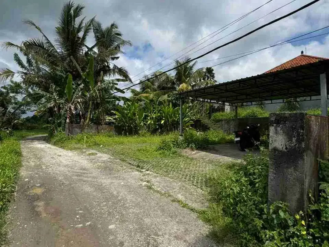 Tanah View Sawah Abadi Bonus Rumah Style Vila di Ubud - Image 8 of 10