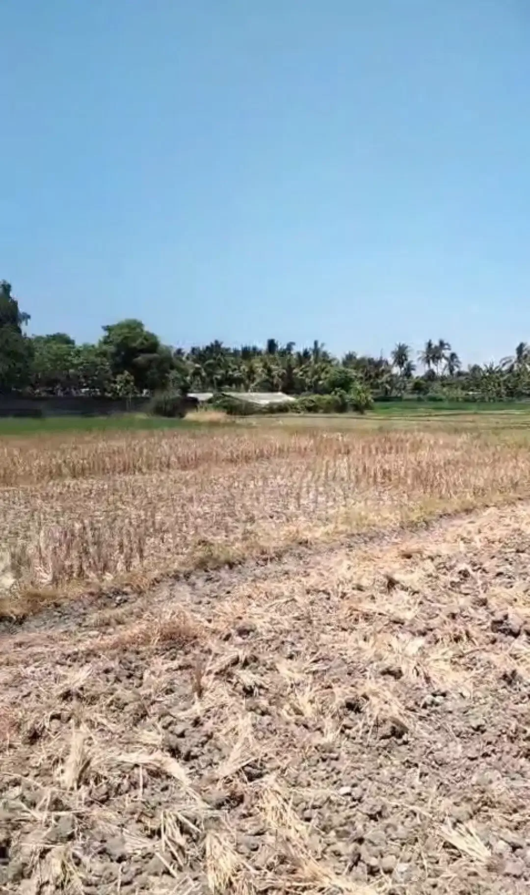 BUC 5 are View Pantai dan sawah di Lebih Gianyar Bali - Image 4 of 6