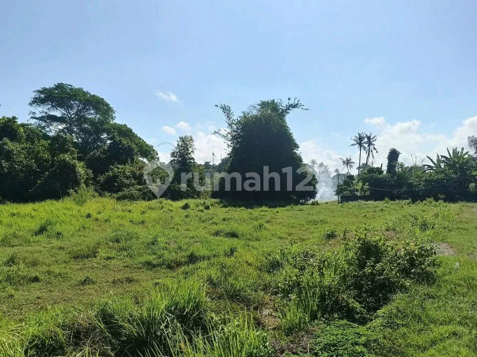 Tanah Cocok untuk Gudang di Ketewel Gianyar - Image 3 of 4