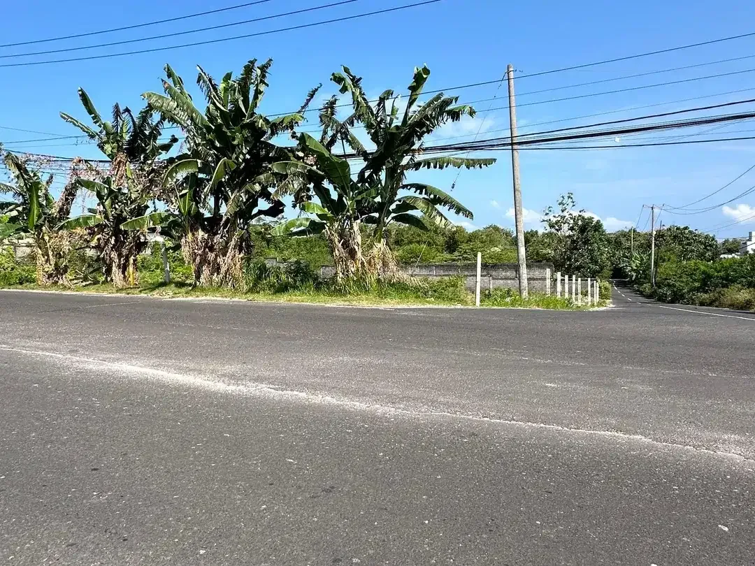 Dijual Tanah 1000m2 Premium Jalan Utama Nusa Dua Selatan - Image 6 of 9