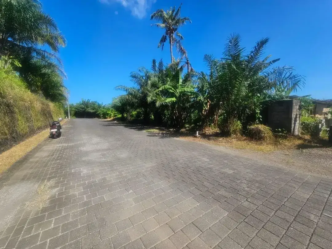 Tanah view sawah Greenlot munggu - Image 9 of 10