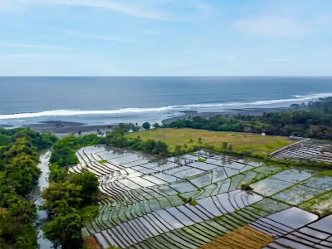 Dijual Tanah Kavling Villa dekat Pantai Kelating Kerambitan Tabanan - Image 2 of 10