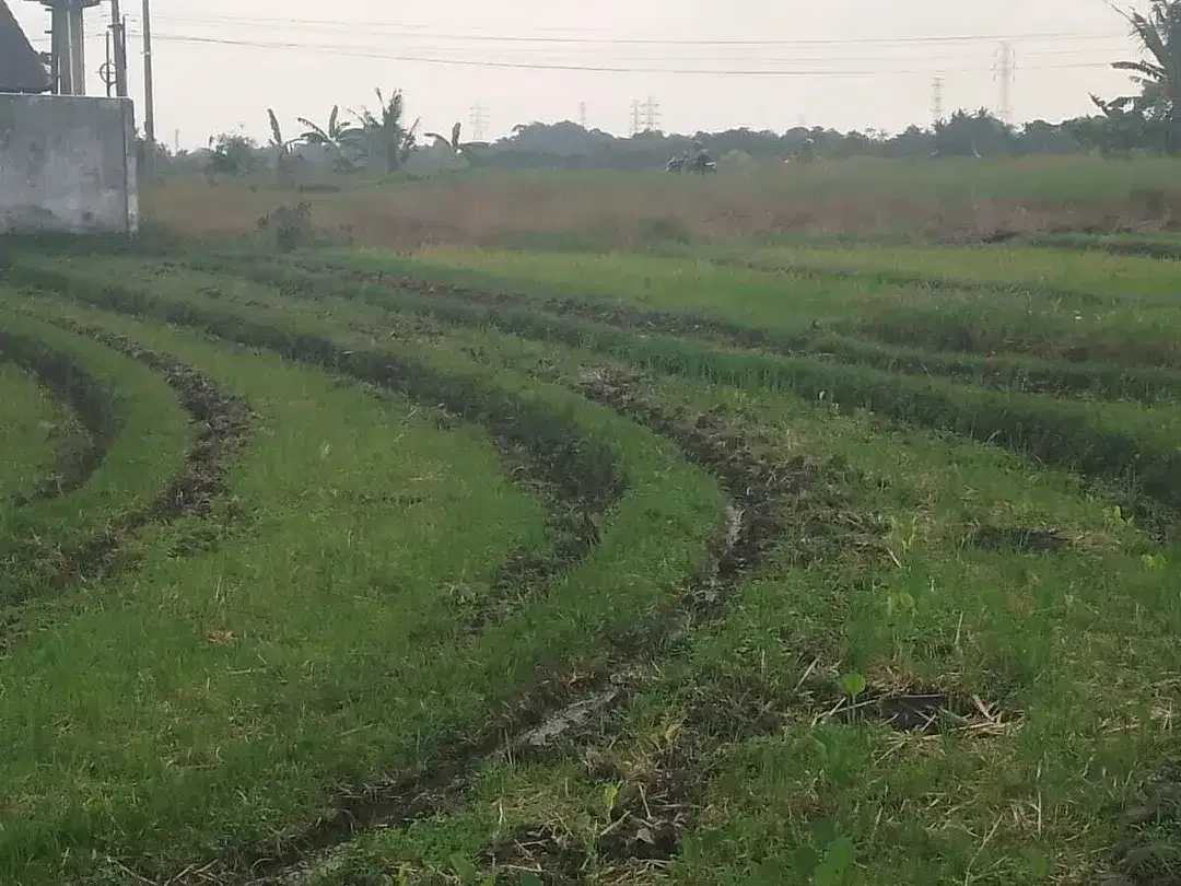 Land for sale in Kaba Kaba, Bali - Image 5 of 7