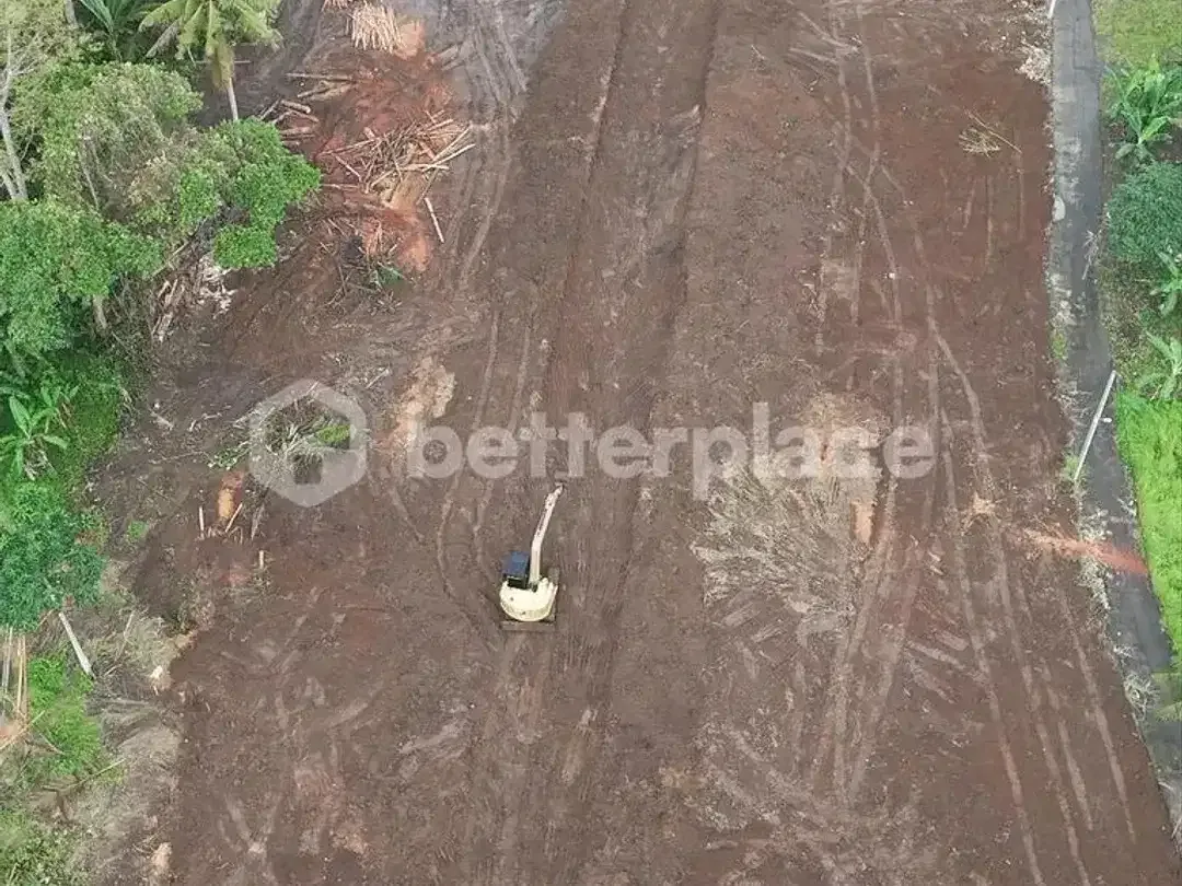 Build Your Dream Tropical Sanctuary in Ubud – Lodtunduh | Premium Freehold Land with Captivating Rice Field Views Only 10 Minutes from Central Ubud - Image 8 of 9