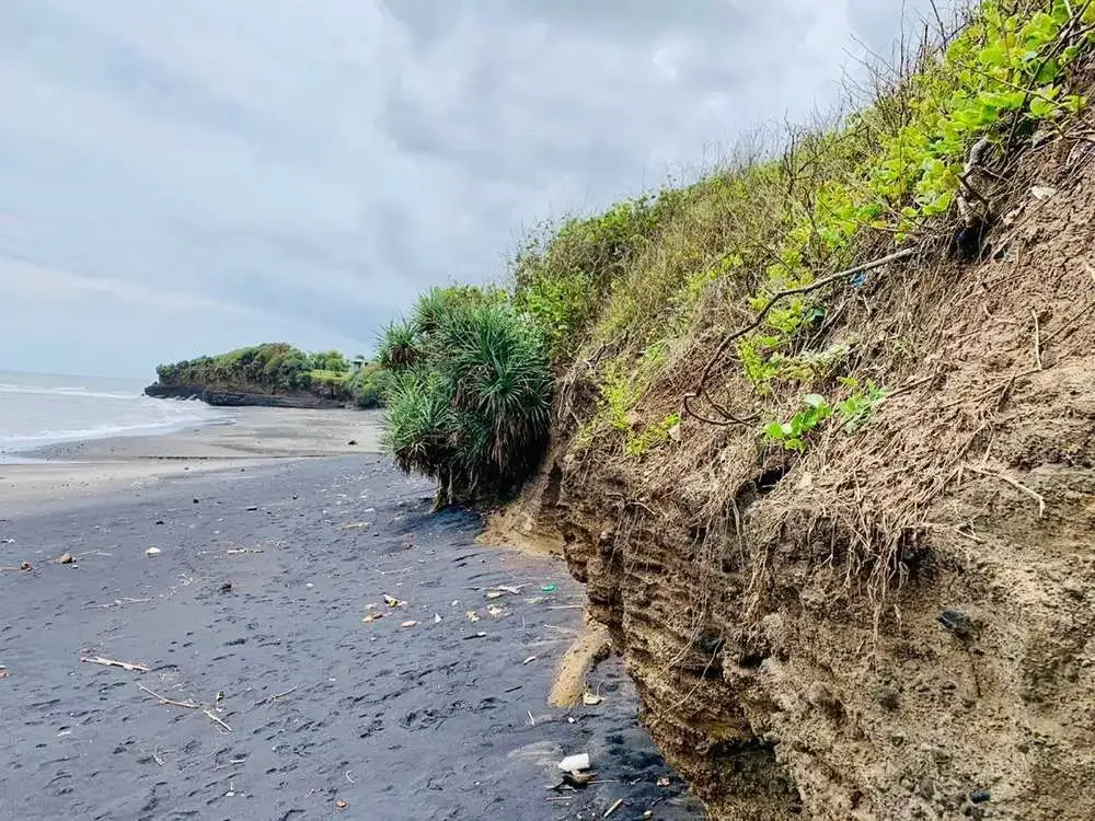 TANAH STRATEGIS PINGGIR PANTAI NYANYI - Image 3 of 10