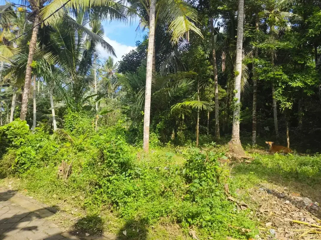 Tanah View Alam Ubud Bisa Ambil 600m2 - Image 1 of 10