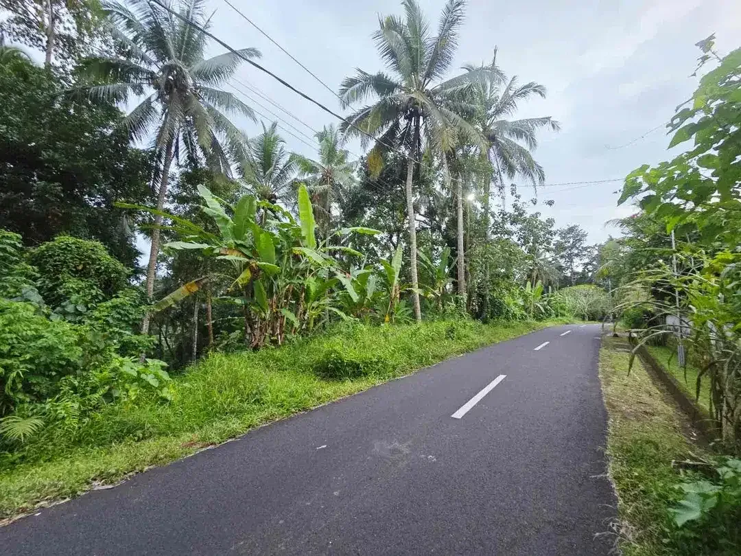 DIJUAL TANAH MURAH DI TABANAN
Batuaji - Image 3 of 10