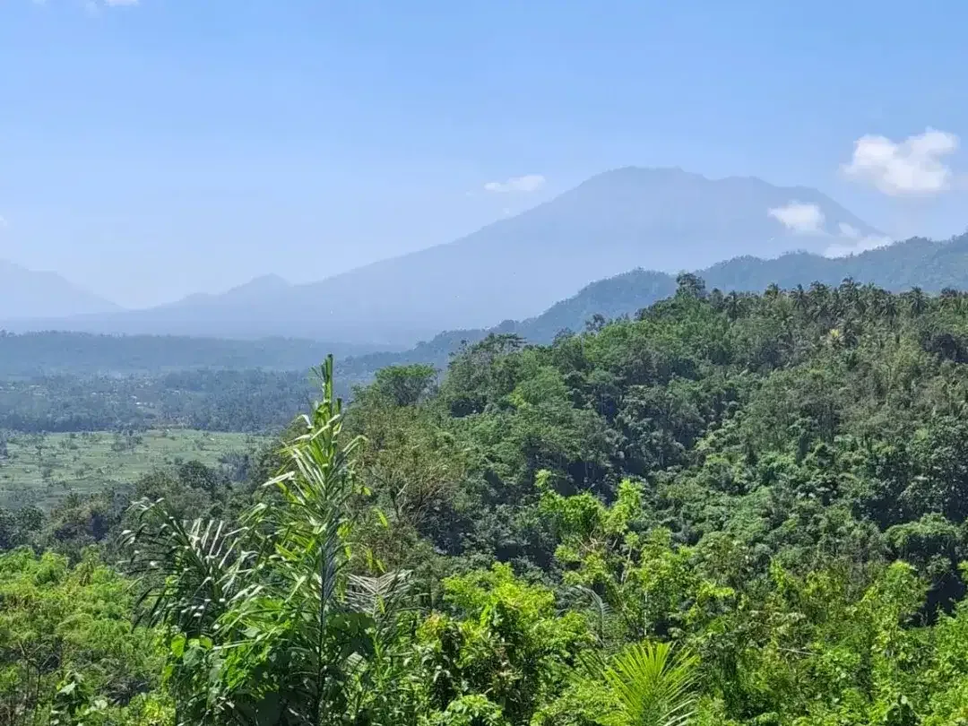 8.100 sqm Land for Sale in Sidemen, Karangasem - Image 5 of 6