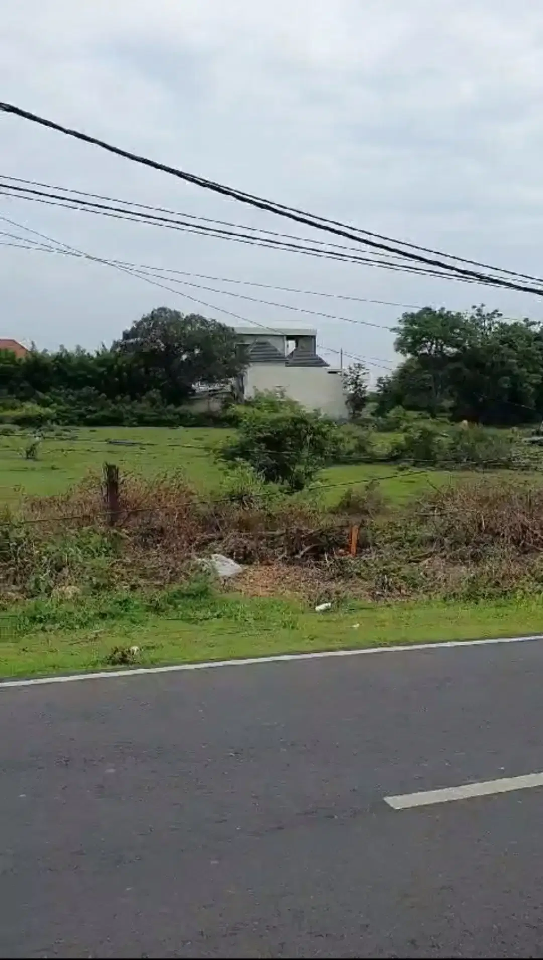 Tanah Pink Zone Di Jalan Nusa Dua Selatan Dekat Pandawa Golf - Image 2 of 3