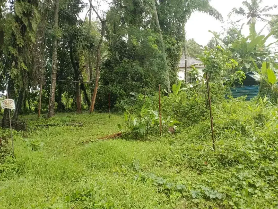 Tanah di Singakerta, Ubud, Bali!
Lokasi: setelah jembatan Nyuh Kuning, Ubud - Image 3 of 5