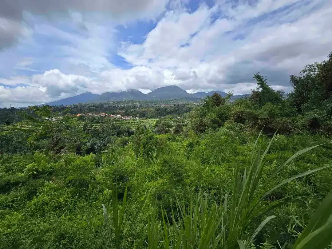 dijual tanah view exotik gunung dan terasering di baturiti bali - Image 6 of 10