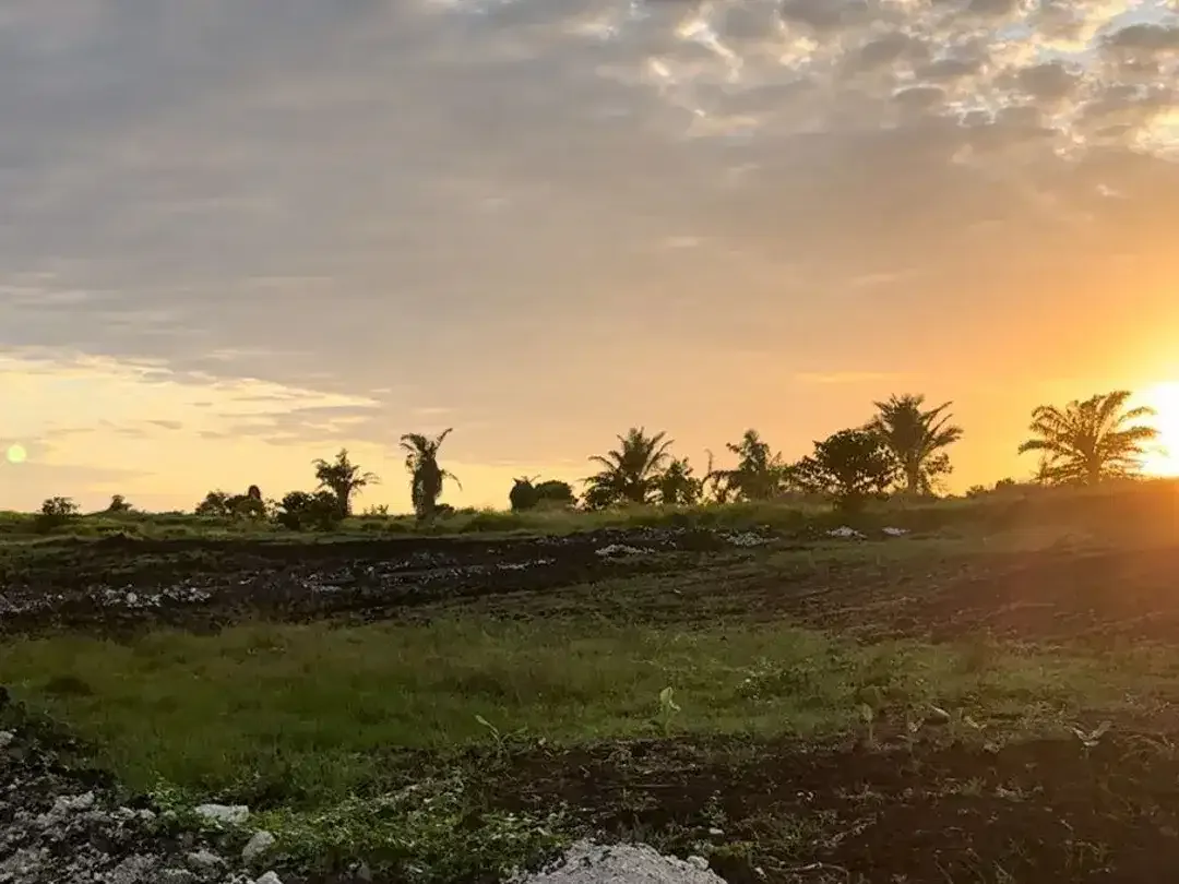 Tanah KEDUNGU siap bangun 2 KM Pantai - Image 3 of 10