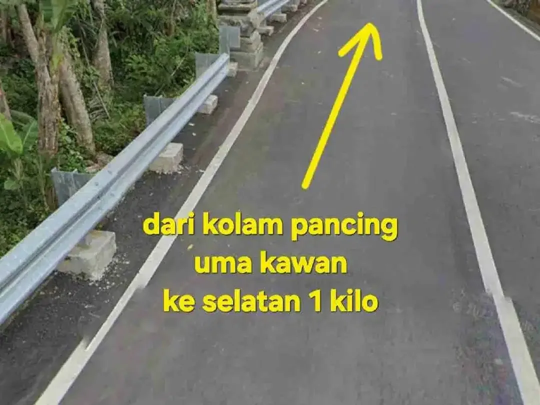 Jual Tanah kebun 33,6are jalan 8 aspal di Payangan Gianyar Ubud Bali - Image 9 of 10