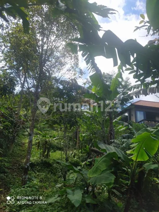 Tanah Dijual di Wanagiri, Bali - Image 4 of 4