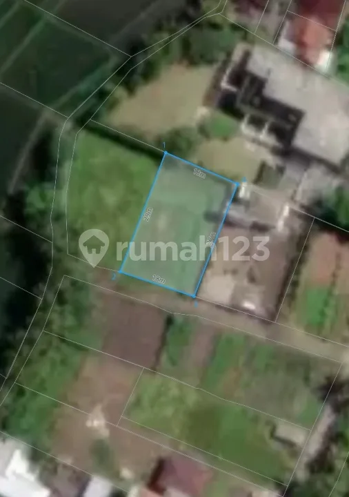 Small Freehold Land Plot For Sale In Nyanyi, North Side - Image 3 of 4