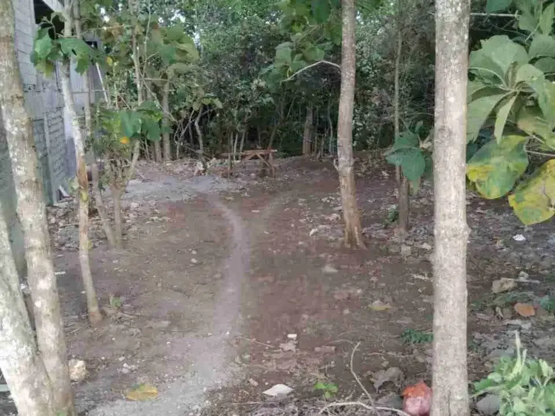 Lahan Komersial Balangan 75 Meter Hook Dekat Pantai - Image 2 of 10