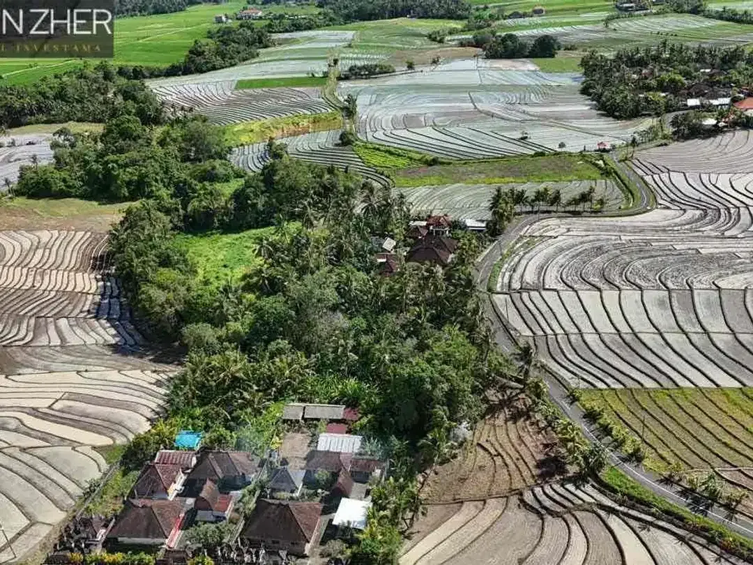 Tanah murah jarang ada view sawah cocok untuk homestay,villa karena dekat pantai di beraban tabanan - Image 6 of 10