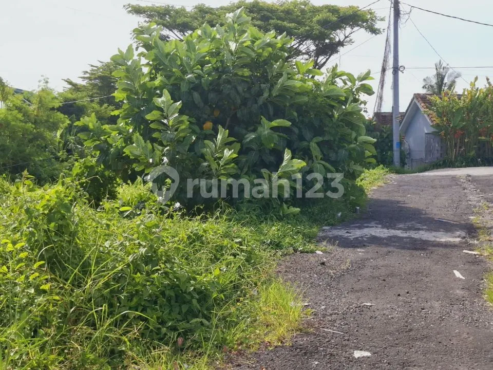 Tanah Premium Zona Kuning Selangkah Ke Pantai Canggu - Image 4 of 4