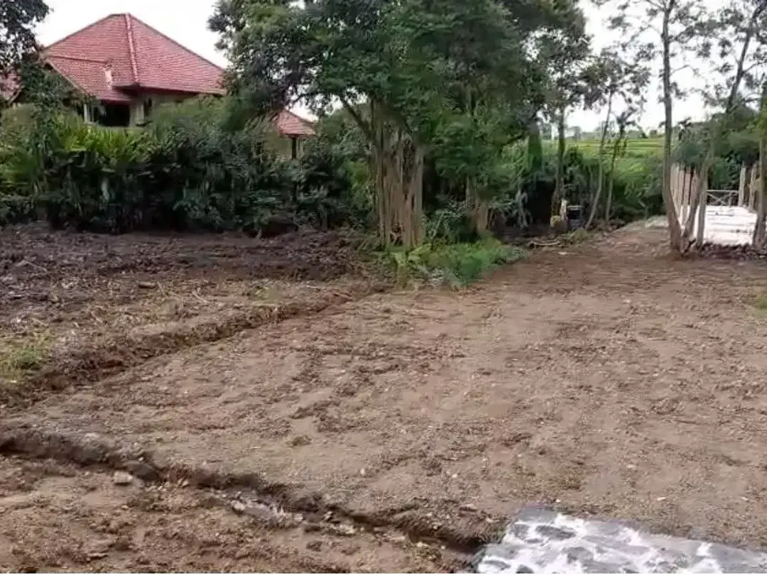 PREMIUM LAND TUMBAK BAYUH PERERENAN CLOSE TO CANGGU - Image 2 of 4