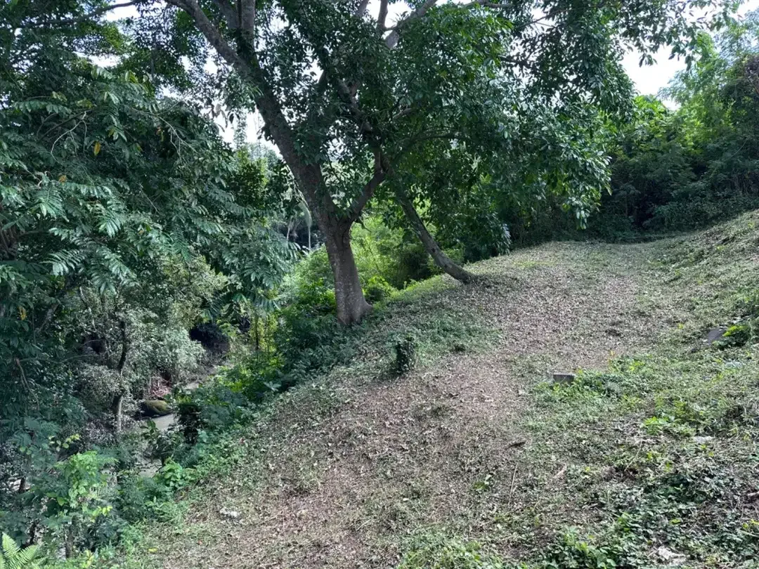 DI JUAL TANAH VIEW SAWAH DEKAT DENGAN CANGGU MUNGGU BALI - Image 4 of 10