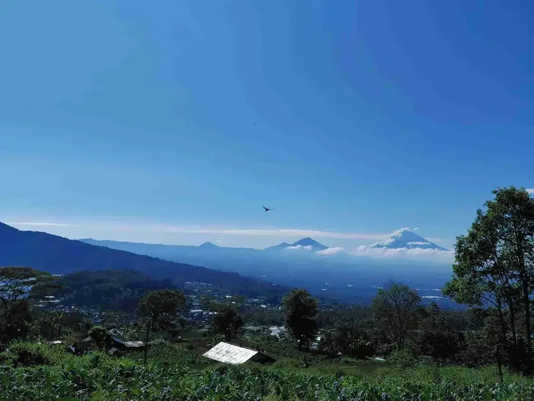 Tanah View Danau dan Kota di Baturiti Bedugul Bali - Image 9 of 9