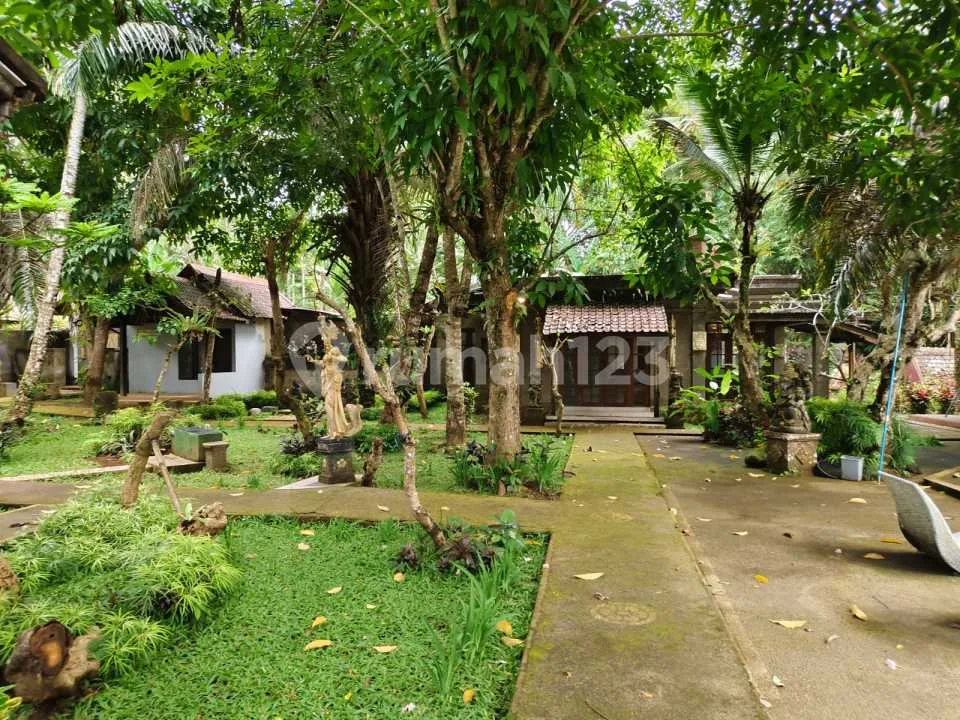 Dijual Tanah Dapat Resort View Jungle Lembah Dan Sungai Di Ubud - Image 2 of 4