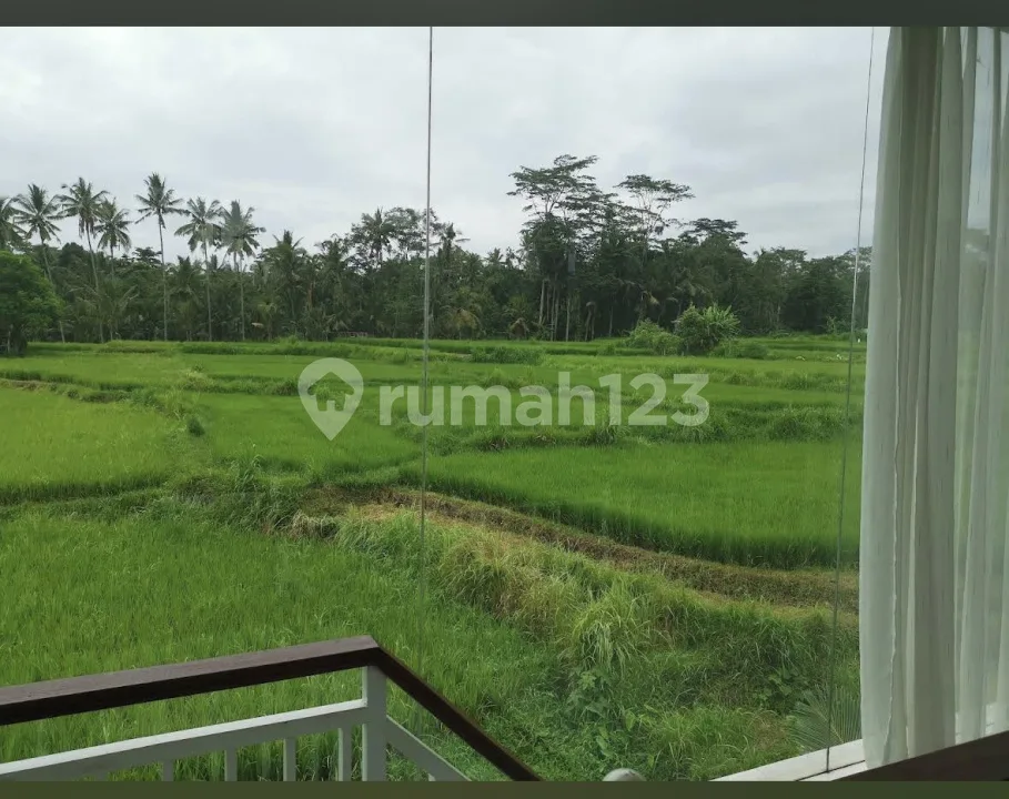 Freehold Villa Near Ubud | 936 MÂ² | Peaceful Rice Field View 360 - Image 2 of 4