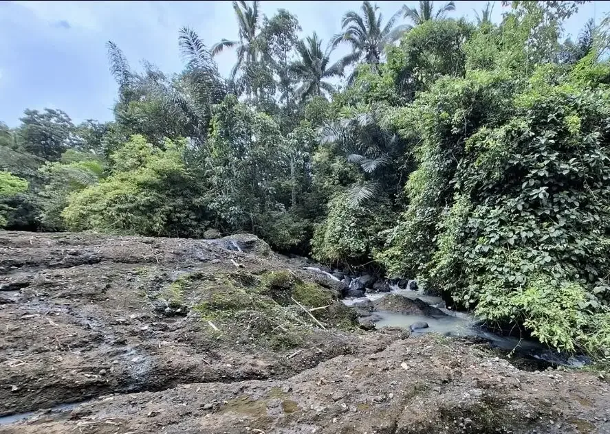 Tanah kebun view sungai sangat murah di tabanan - Image 2 of 7