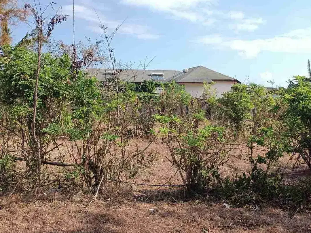 Pink Zone Land for Leasehold in Pandawa beach Bali - Image 3 of 3
