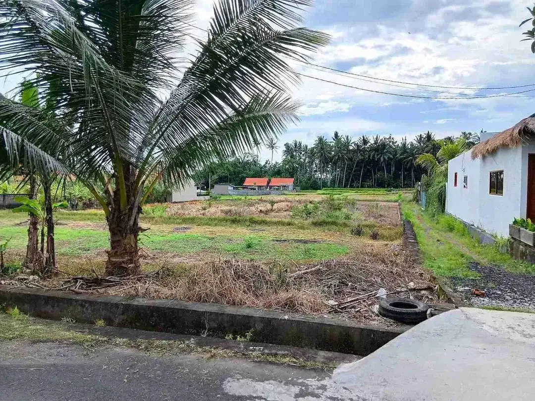 Tanah View sawah kemenuh Ubud - Image 5 of 7