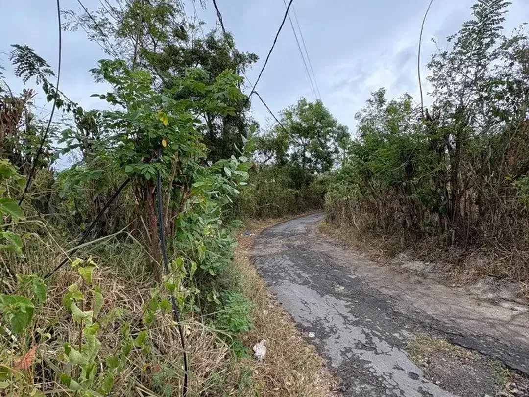 Tanah 20 Are Siap Bangun Dijual di Area Kutuh, Nusa Dua - Image 2 of 5