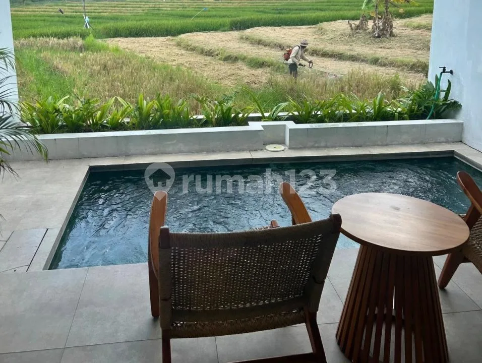 Villa 2 Kamar Private Pool View Sawah Canggu - Image 3 of 4