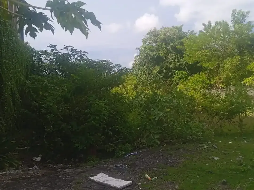 Tanah Kavling di Kampial Dharmawangsa Dijual - Image 2 of 10