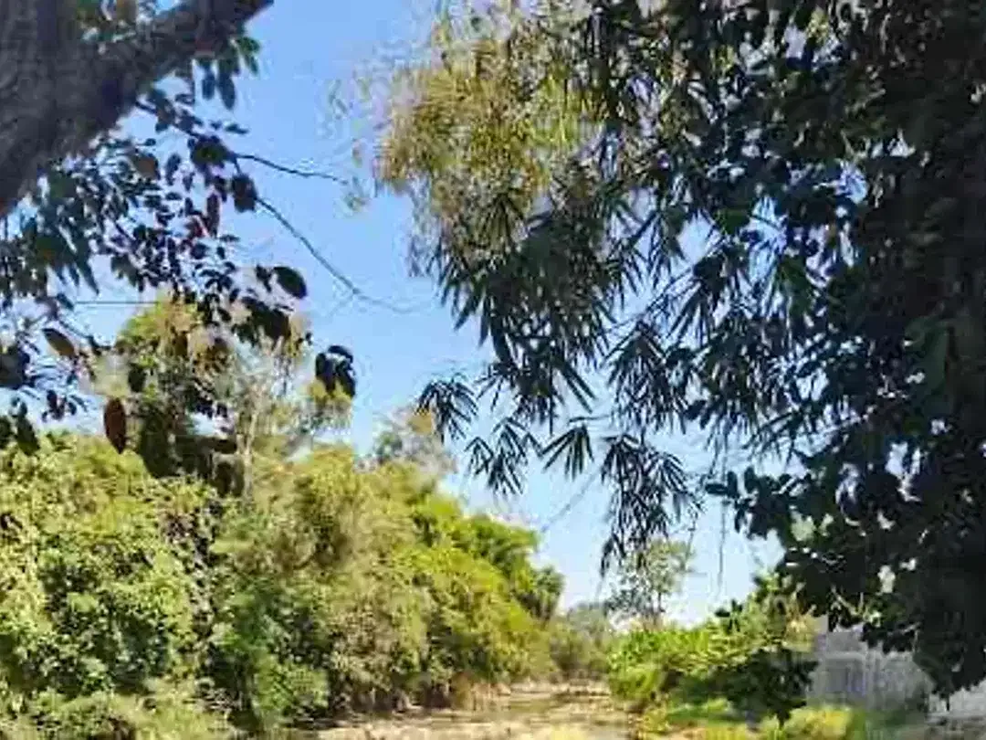 Dijual Tanah Kavling Villa dekat Pantai Kelating Kerambitan Tabanan - Image 6 of 10