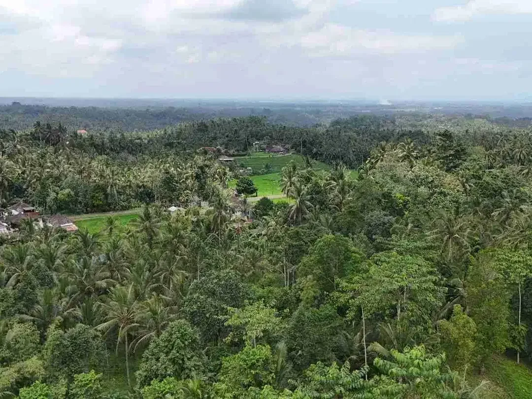 jual tanah di apit dua sungai di desa wisata manikyang, selemadeg tabanan bali. - Image 2 of 10