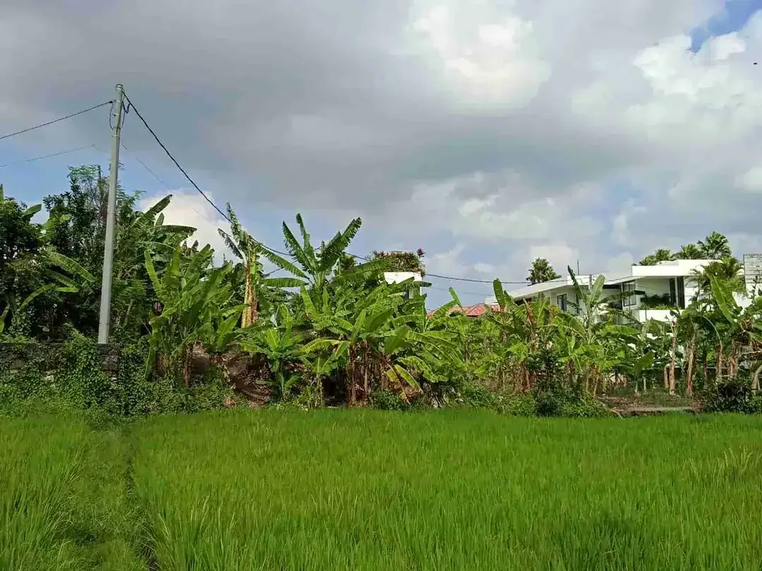DIJUAL CEPAT TANAH 310m² Jl.TUMBAK BAYU PERERENAN BADUNG BALI. - Image 2 of 10