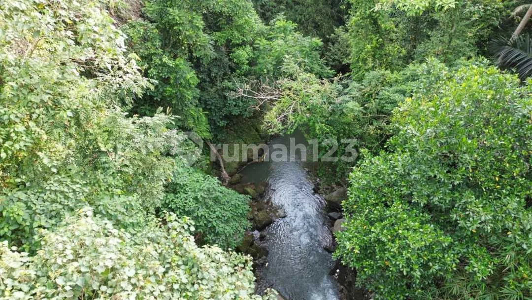 Riverside SHM Land 6.68 Sqm Gianyar Ubud Jungle & River View V287 - Image 4 of 4